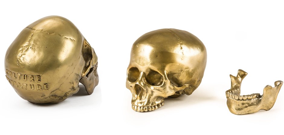 Статуэтка Seletti Wunderkrammer Human Skull Статуэтка Seletti Wunderkrammer Human Skull - Loft-Concept в Тюмени