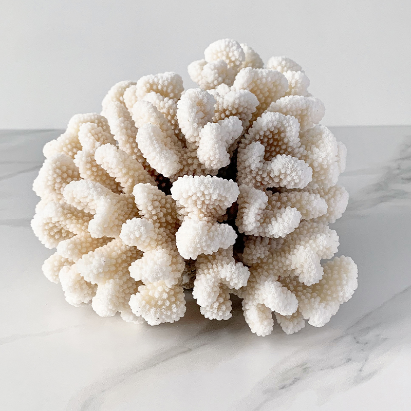 Статуэтка Brownstem Coral Статуэтка Brownstem Coral в Тюмени | Loft Concept