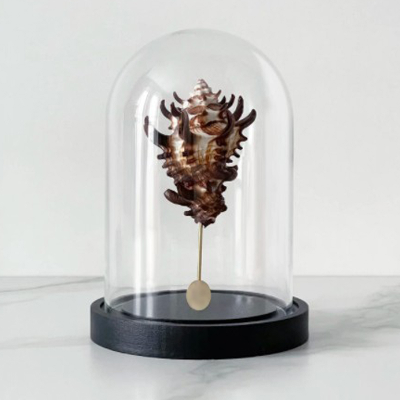 Статуэтка Vasum Tubiferum Glass Cloche Статуэтка Vasum Tubiferum Glass Cloche в Тюмени | Loft Concept