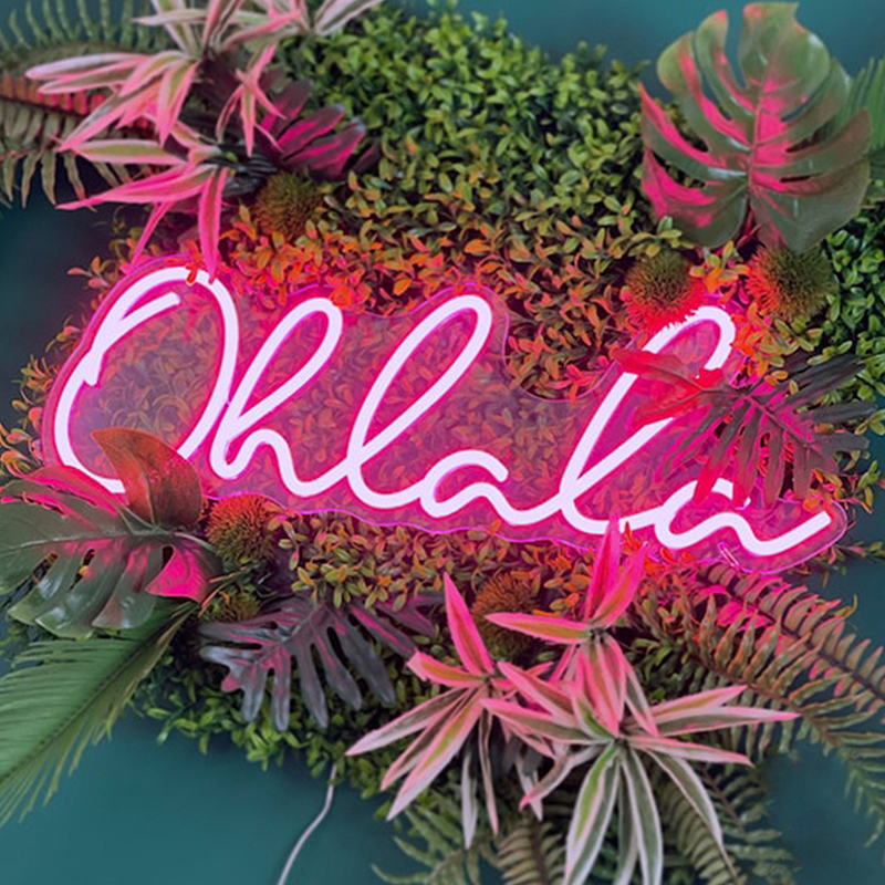 Неоновая настенная лампа Oh La La Neon Wall Lamp Розовый Розовый Прозрачный Неоновая настенная лампа Oh La La Neon Wall Lamp Розовый Розовый Прозрачный в Тюмени | Loft Concept