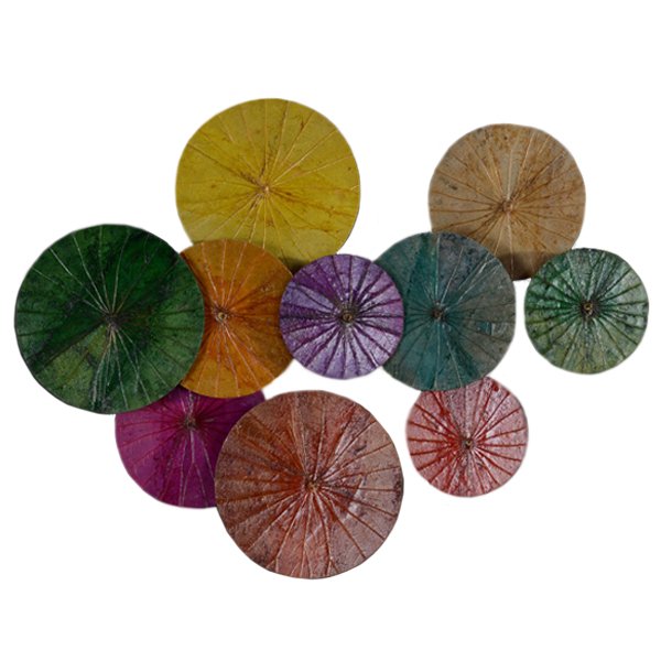 Арт-объект Disc wall art Lotus leaves Мульти Арт-объект Disc wall art Lotus leaves Мульти в Тюмени | Loft Concept