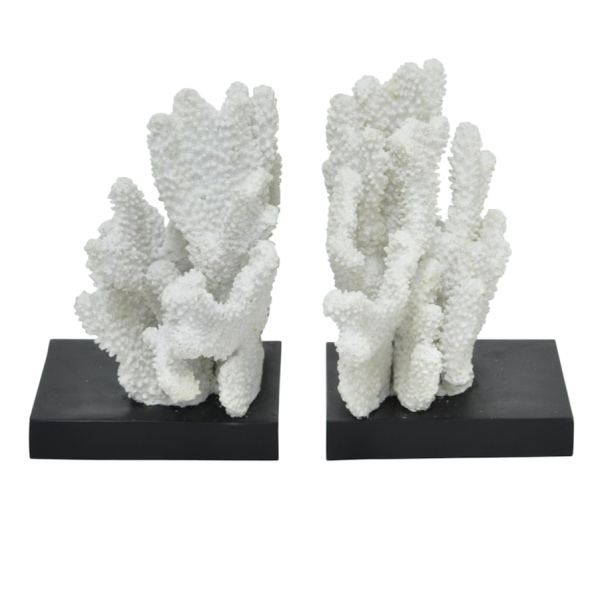 Держатели для книг White Coral Белый Держатели для книг White Coral Белый в Тюмени | Loft Concept