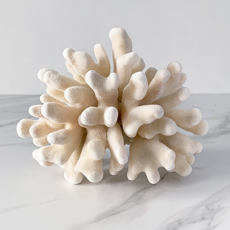 Статуэтка Elkhorn Coral Статуэтка Elkhorn Coral в Тюмени | Loft Concept