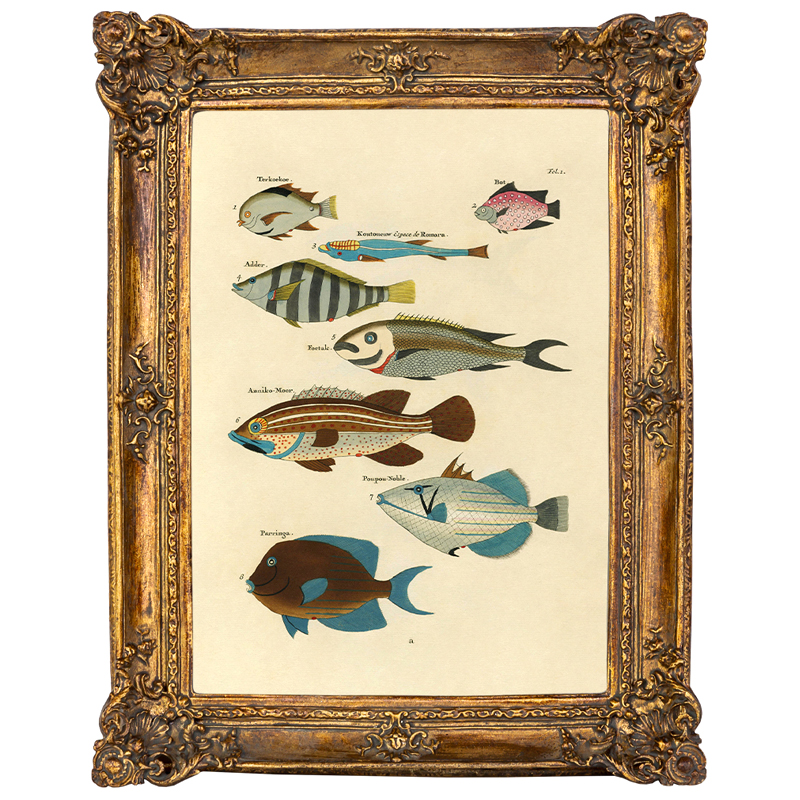 Постер Fish Species в багетной раме Мульти Золотой Постер Fish Species в багетной раме Мульти Золотой в Тюмени | Loft Concept