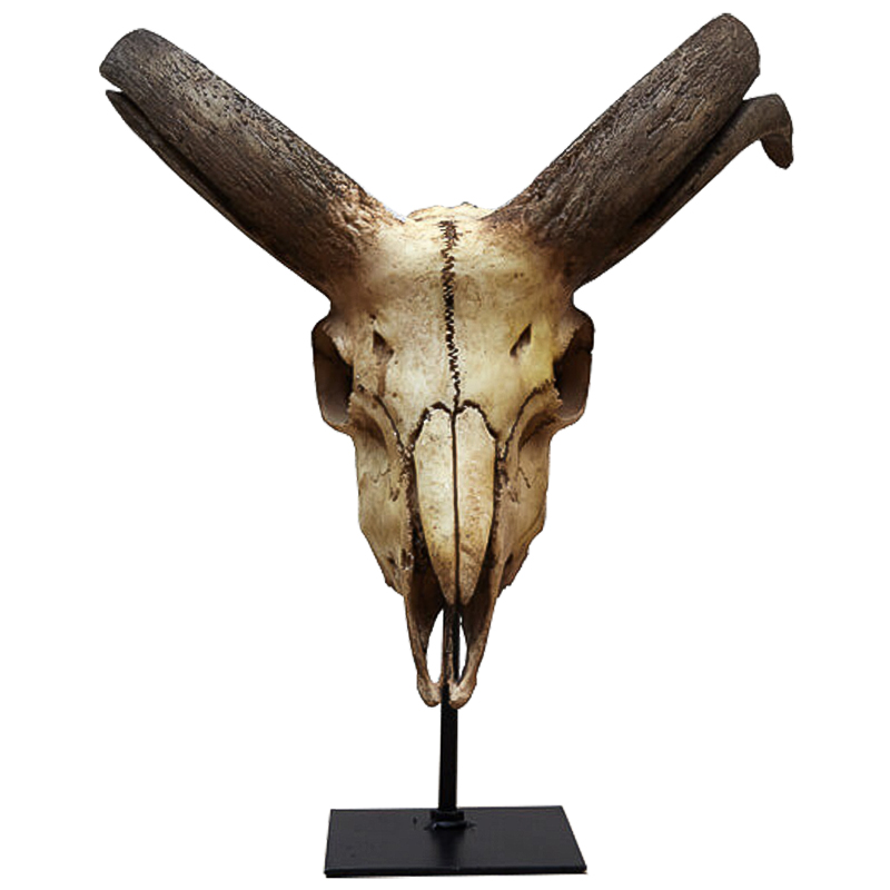 Аксессуар Goat Skull Бежевый Коричневый Черный Аксессуар Goat Skull Бежевый Коричневый Черный в Тюмени | Loft Concept