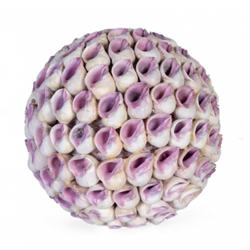 Статуэтка Coral Decor ball Коричневый Статуэтка Coral Decor ball Коричневый в Тюмени | Loft Concept