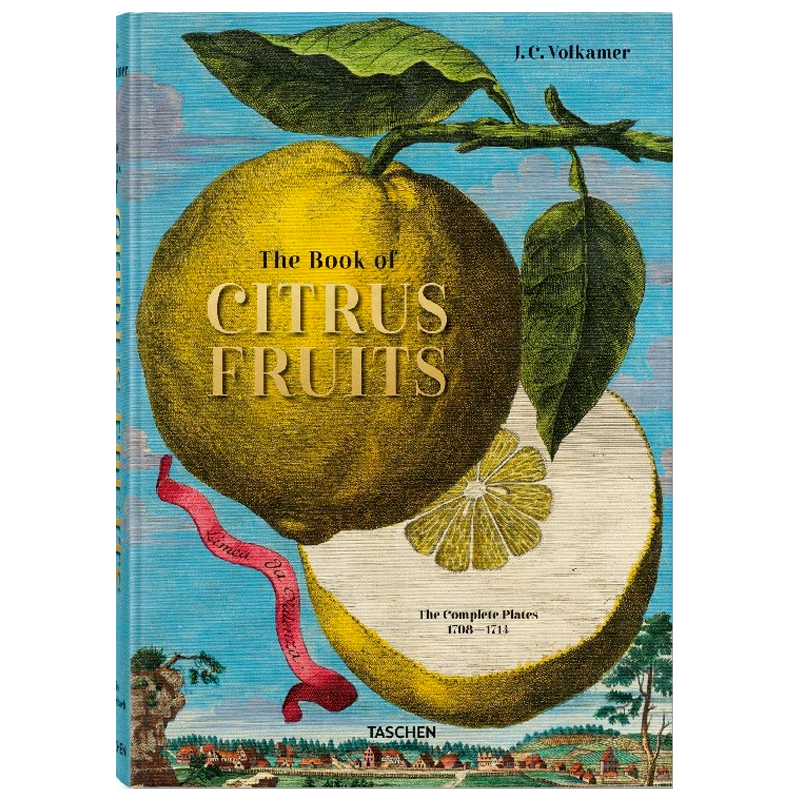 Volkamer Citrus Fruits Volkamer Citrus Fruits в Тюмени | Loft Concept
