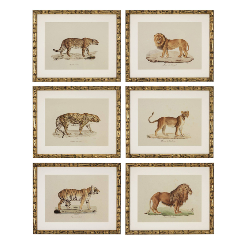 Комплект постеров Eichholtz Prints Lion Tigre Jaguar set of 6 Золотой Бежевый Мульти Комплект постеров Eichholtz Prints Lion Tigre Jaguar set of 6 Золотой Бежевый Мульти в Тюмени | Loft Concept