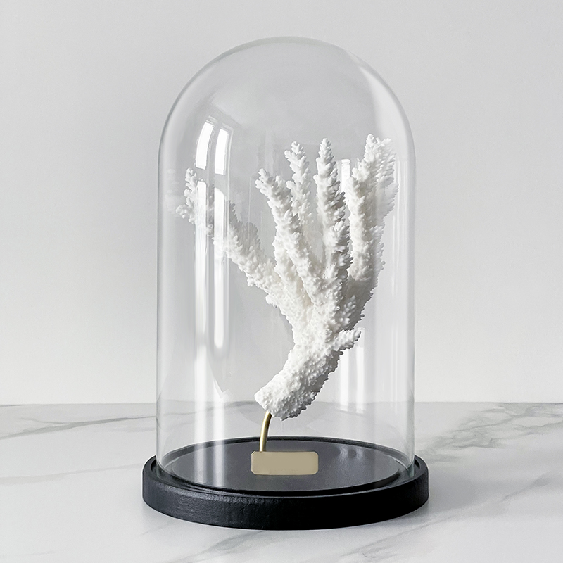 Статуэтка Natural Coral Branch Glass Cloche Статуэтка Natural Coral Branch Glass Cloche в Тюмени | Loft Concept