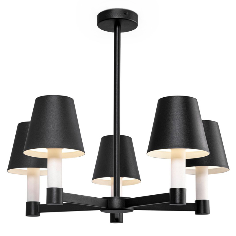 Люстра Eremon Chandelier 5 Черный Люстра Eremon Chandelier 5 Черный в Тюмени | Loft Concept