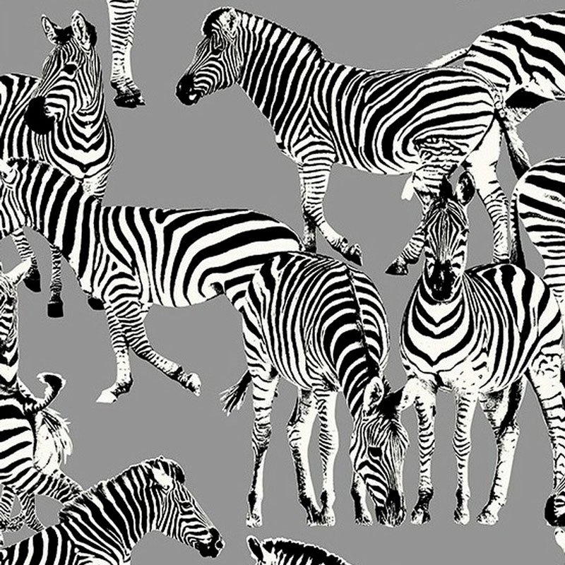 Обои ручная роспись Zebras Mid Grey Обои ручная роспись Zebras Mid Grey в Тюмени | Loft Concept