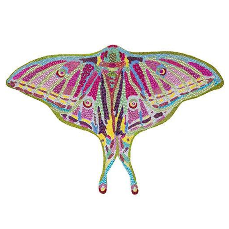 Картина “Spanish Moon Moth Butterfly Cut Out” Мульти Картина “Spanish Moon Moth Butterfly Cut Out” Мульти в Тюмени | Loft Concept