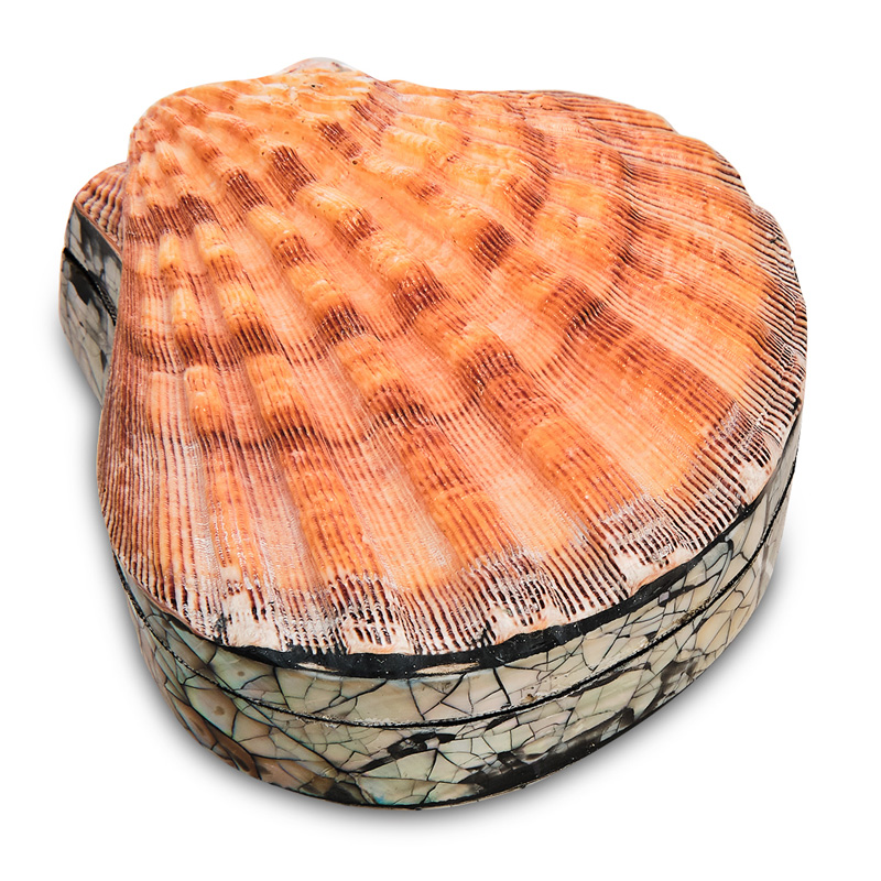 Шкатулка Shell Box II Коралловый Шкатулка Shell Box II Коралловый в Тюмени | Loft Concept