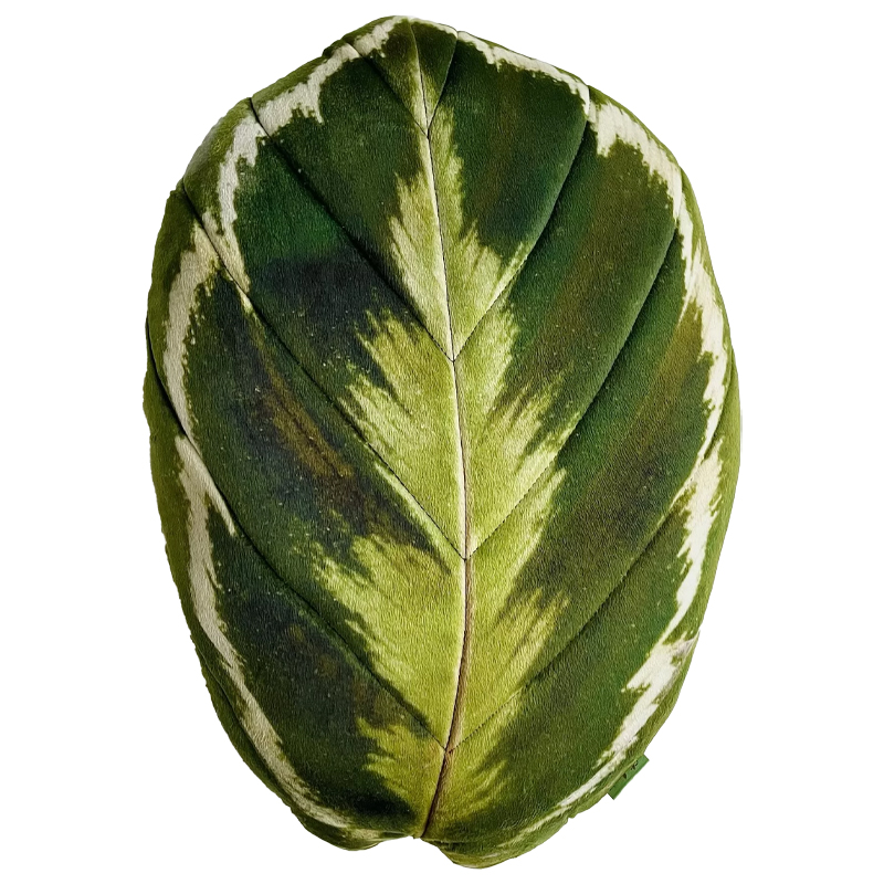 Декоративная подушка Botanical Cushion Calathea Medallion Зеленый Декоративная подушка Botanical Cushion Calathea Medallion Зеленый в Тюмени | Loft Concept