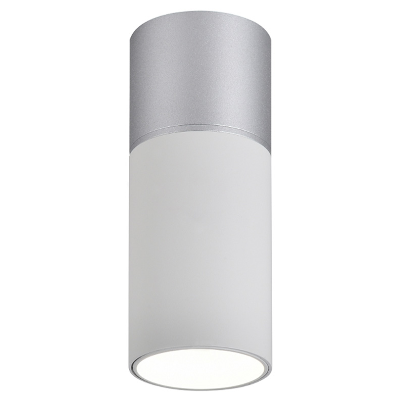 Накладной светодиодный спот Delightfull White&Silver Серебряный Белый в Тюмени | Loft Concept 
