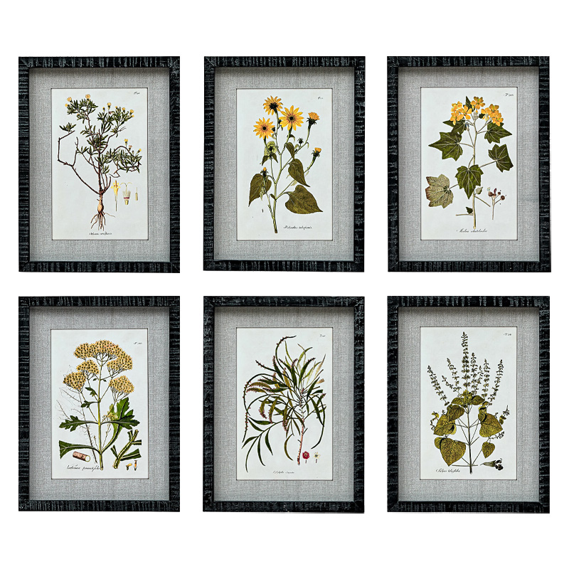Набор постеров Herbarium Yellow Flowers Мульти Набор постеров Herbarium Yellow Flowers Мульти в Тюмени | Loft Concept