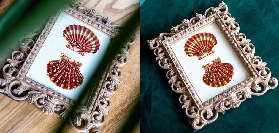 Постер Red Scallop Poster - Loft-Concept в Тюмени