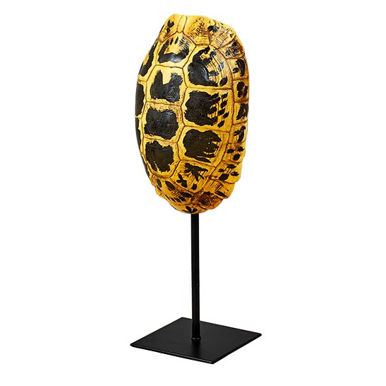 Статуэтка Yellow Tortoise Shell Черный Желтый Статуэтка Yellow Tortoise Shell Черный Желтый в Тюмени | Loft Concept