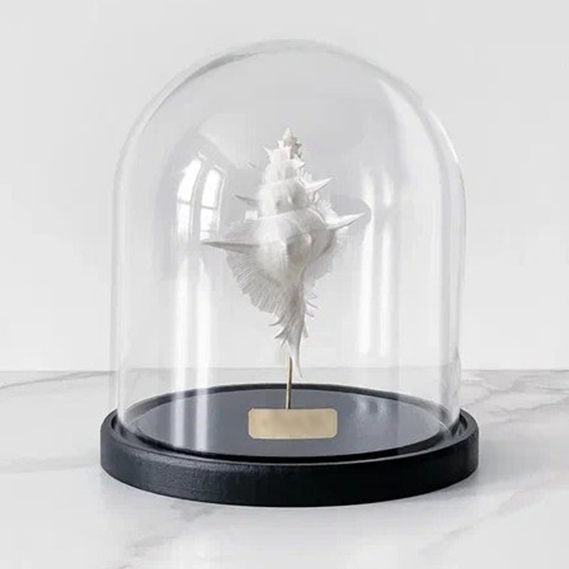 Статуэтка Murex Alabaster Glass Cloche Статуэтка Murex Alabaster Glass Cloche в Тюмени | Loft Concept