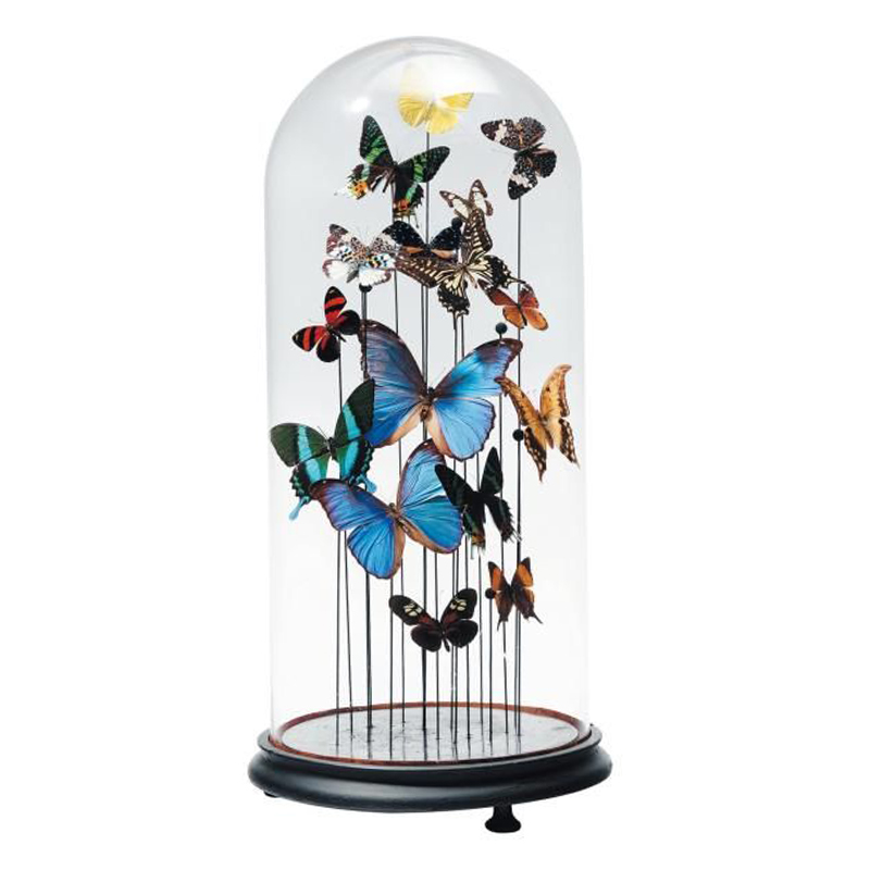 Статуэтка 15 Butterflies Glass Cloche Статуэтка 15 Butterflies Glass Cloche в Тюмени | Loft Concept