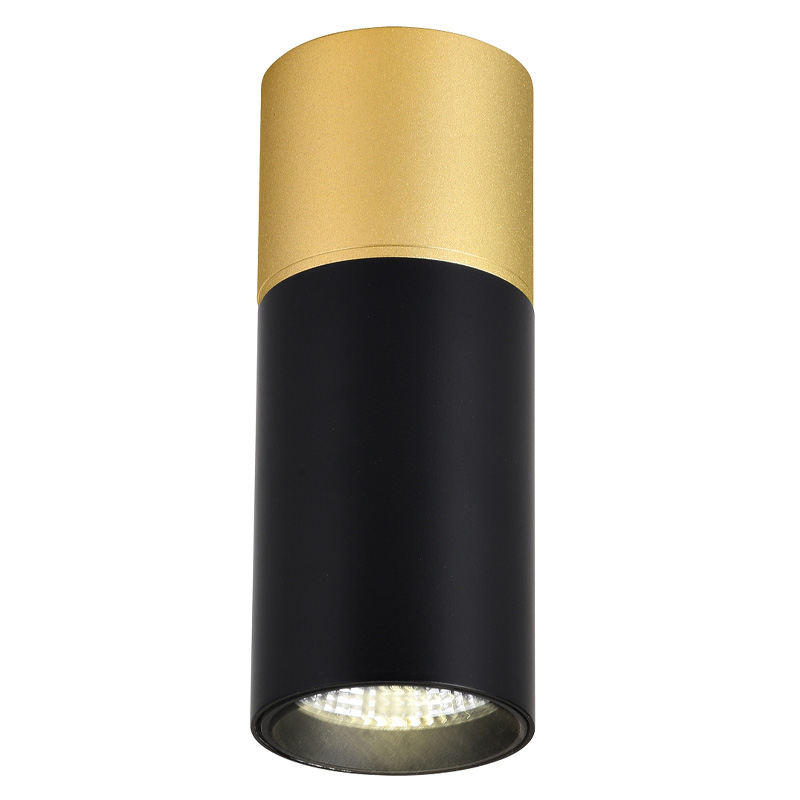 Накладной светодиодный спот Delightfull Black&Gold Золотой Черный Накладной светодиодный спот Delightfull Black&Gold Золотой Черный в Тюмени | Loft Concept