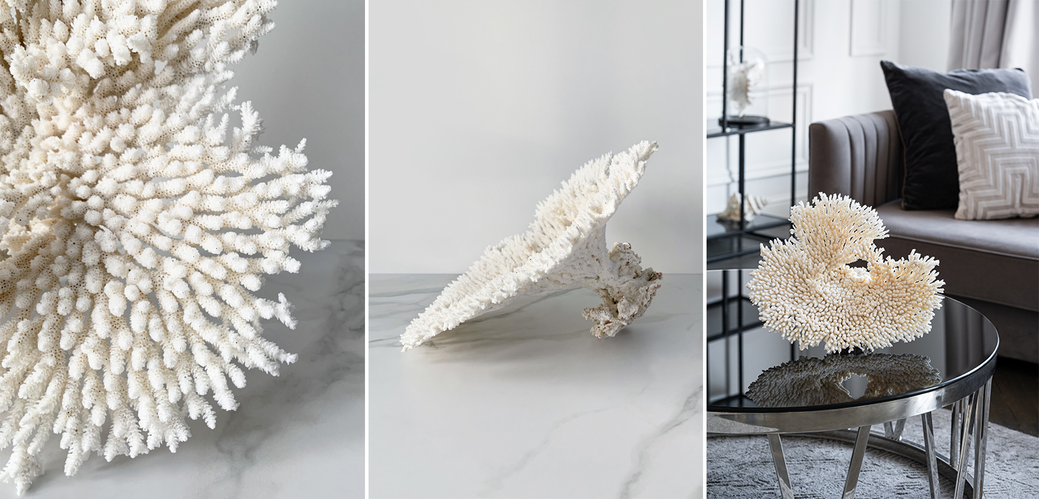 Статуэтка Table Coral - фото