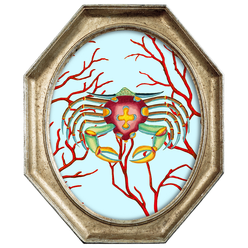 Картина Crab in Coral 2 Мульти Золотой Картина Crab in Coral 2 Мульти Золотой в Тюмени | Loft Concept