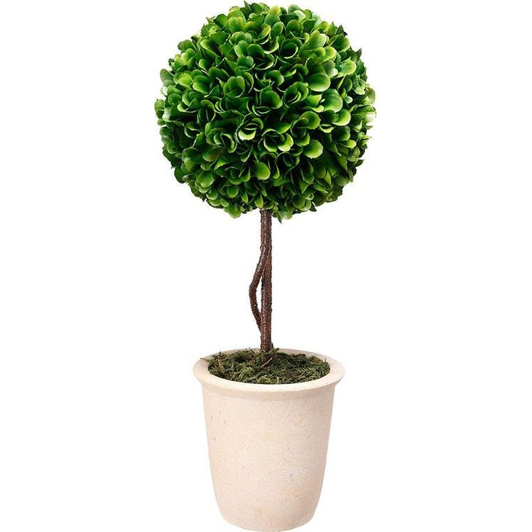 Декоративный искусственное растение Single boxwood Зеленый Бежевый Коричневый Декоративный искусственное растение Single boxwood Зеленый Бежевый Коричневый в Тюмени | Loft Concept
