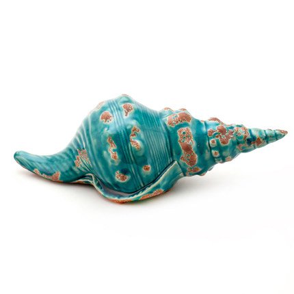 Ракушка Shell Turquoise #1 Бирюзовый Ракушка Shell Turquoise #1 Бирюзовый в Тюмени | Loft Concept