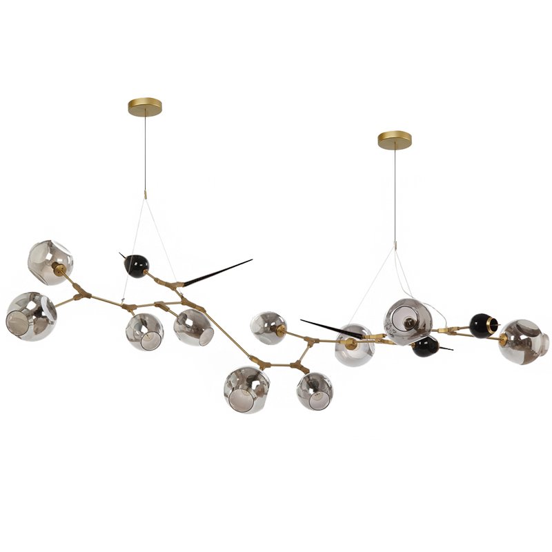 Люстра Chandelier bubbles and thorns Золотой Прозрачное Стекло Прозрачный черный Люстра Chandelier bubbles and thorns Золотой Прозрачное Стекло Прозрачный черный в Тюмени | Loft Concept