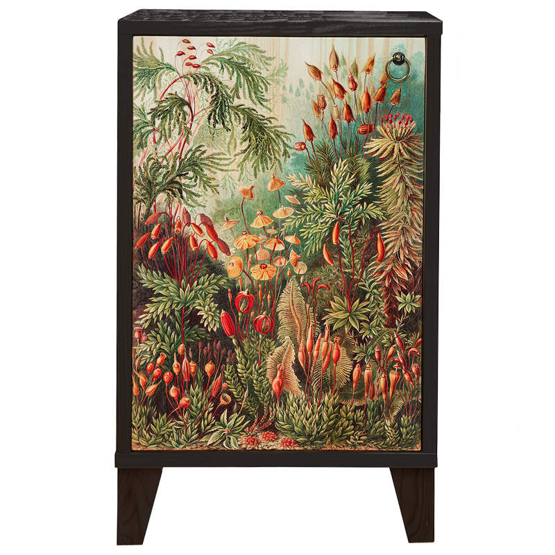 Тумба с цветочным изображением Floral Print Nighstand Черный Мульти Тумба с цветочным изображением Floral Print Nighstand Черный Мульти в Тюмени | Loft Concept