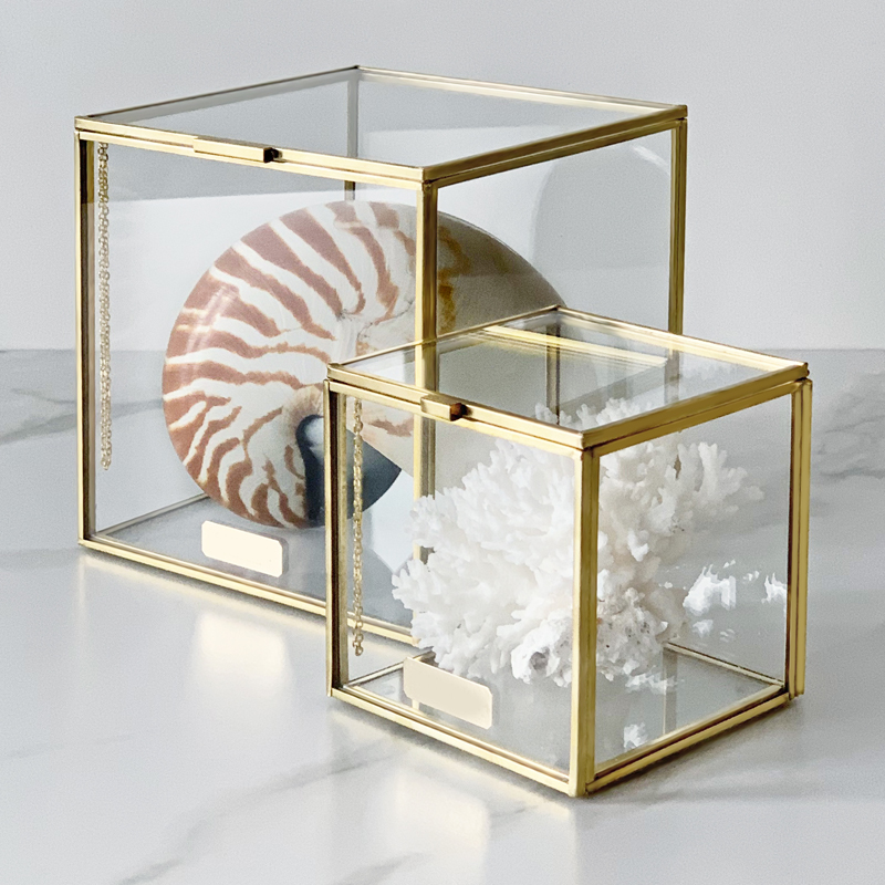 Комплект статуэток Natural Coral & Nautilus Pompilius Glass Box Комплект статуэток Natural Coral & Nautilus Pompilius Glass Box в Тюмени | Loft Concept