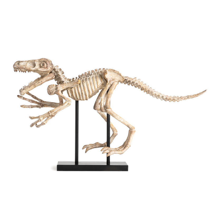 Статуэтка Dinosaur Skeleton big Бежево-серый Статуэтка Dinosaur Skeleton big Бежево-серый в Тюмени | Loft Concept