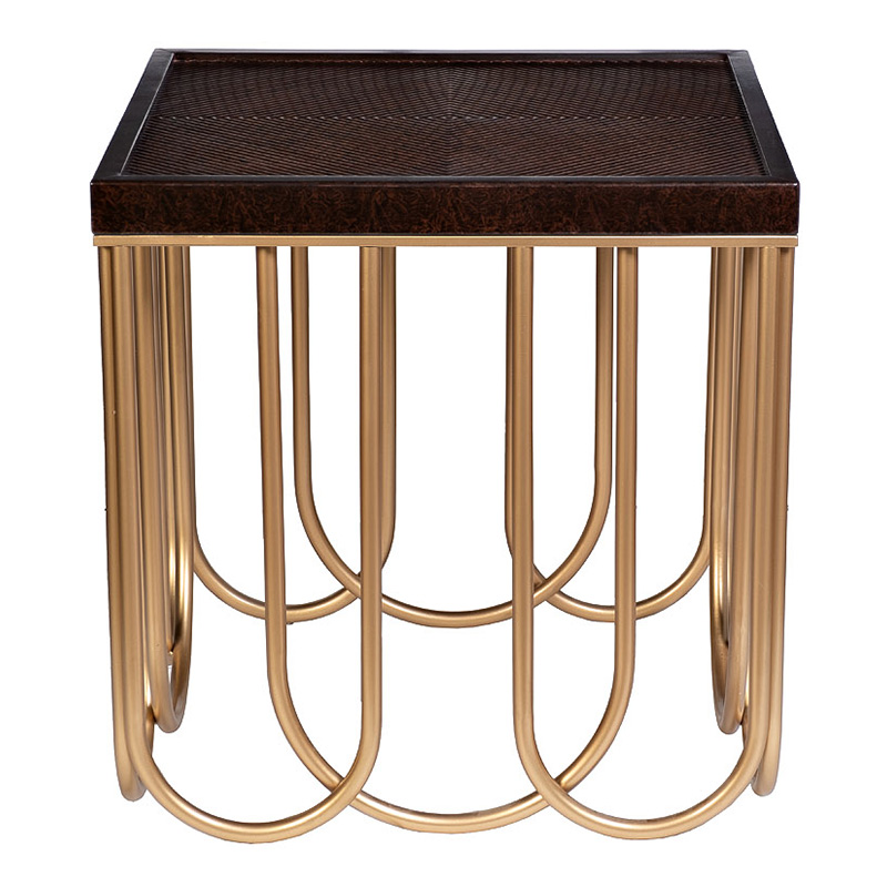 Приставной стол Cassel Side Table Дерево Табак Золотой Приставной стол Cassel Side Table Дерево Табак Золотой в Тюмени | Loft Concept