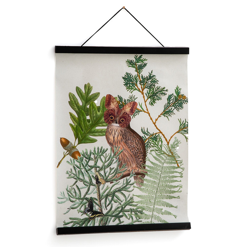 Постер Poster of Plants & Birds сова Мульти Постер Poster of Plants & Birds сова Мульти в Тюмени | Loft Concept