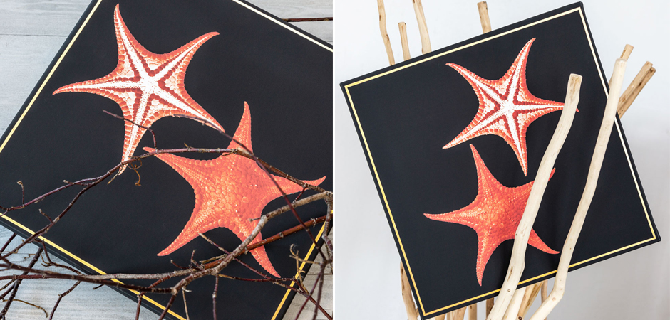Постер Sea Stars Poster Постер Sea Stars Poster - Loft-Concept в Тюмени