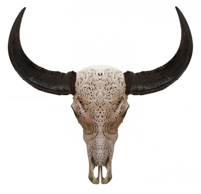 Череп буйвола с резьбой Buffalo Skull Tribal Carving Белый Череп буйвола с резьбой Buffalo Skull Tribal Carving Белый в Тюмени | Loft Concept