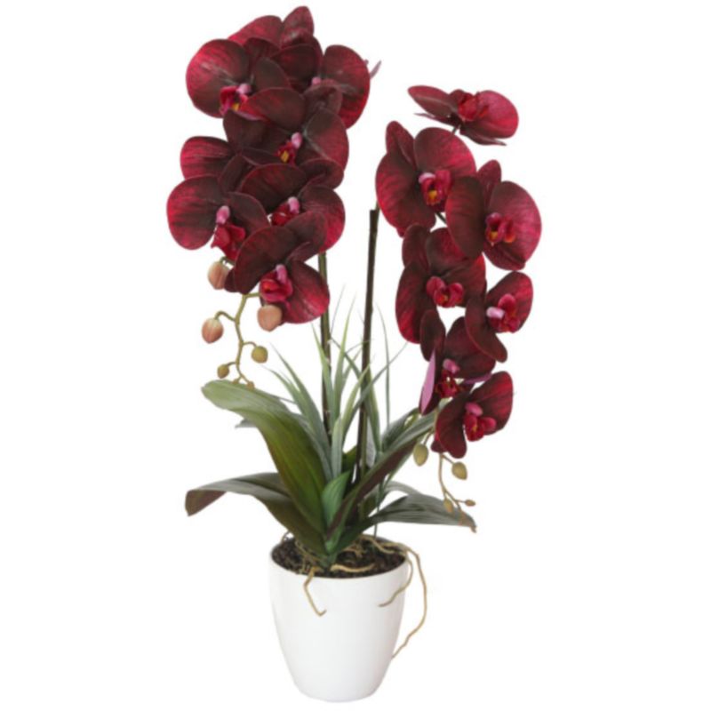 Искусственная орхидея Мультифлора burgundy Бордовый Искусственная орхидея Мультифлора burgundy Бордовый в Тюмени | Loft Concept