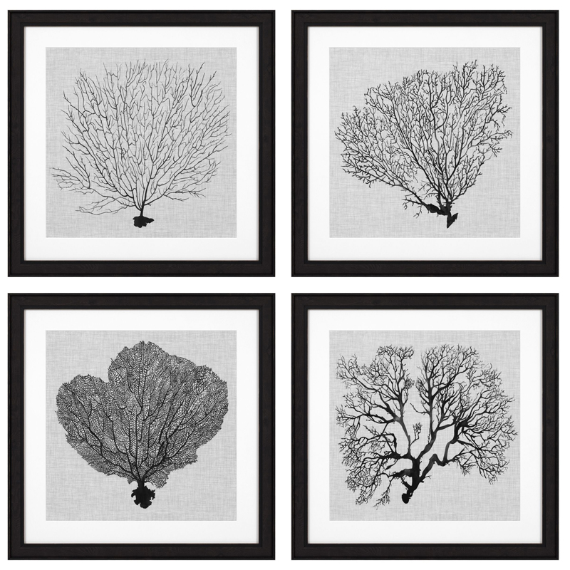 Комплект постеров Eichholtz Prints Shadow Sea Fans set of 4 Черный Черно-белый Комплект постеров Eichholtz Prints Shadow Sea Fans set of 4 Черный Черно-белый в Тюмени | Loft Concept