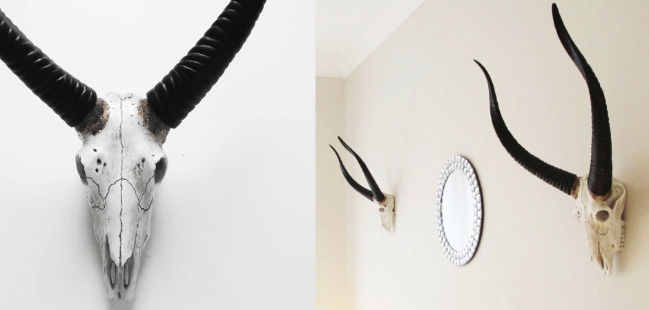 Череп антилопы с черными рогами - Loft-Concept в Тюмени