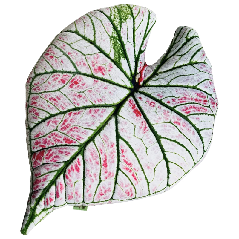 Декоративная подушка Botanical Cushion Caladium Rosebud Зеленый Бежевый Розовый Декоративная подушка Botanical Cushion Caladium Rosebud Зеленый Бежевый Розовый в Тюмени | Loft Concept