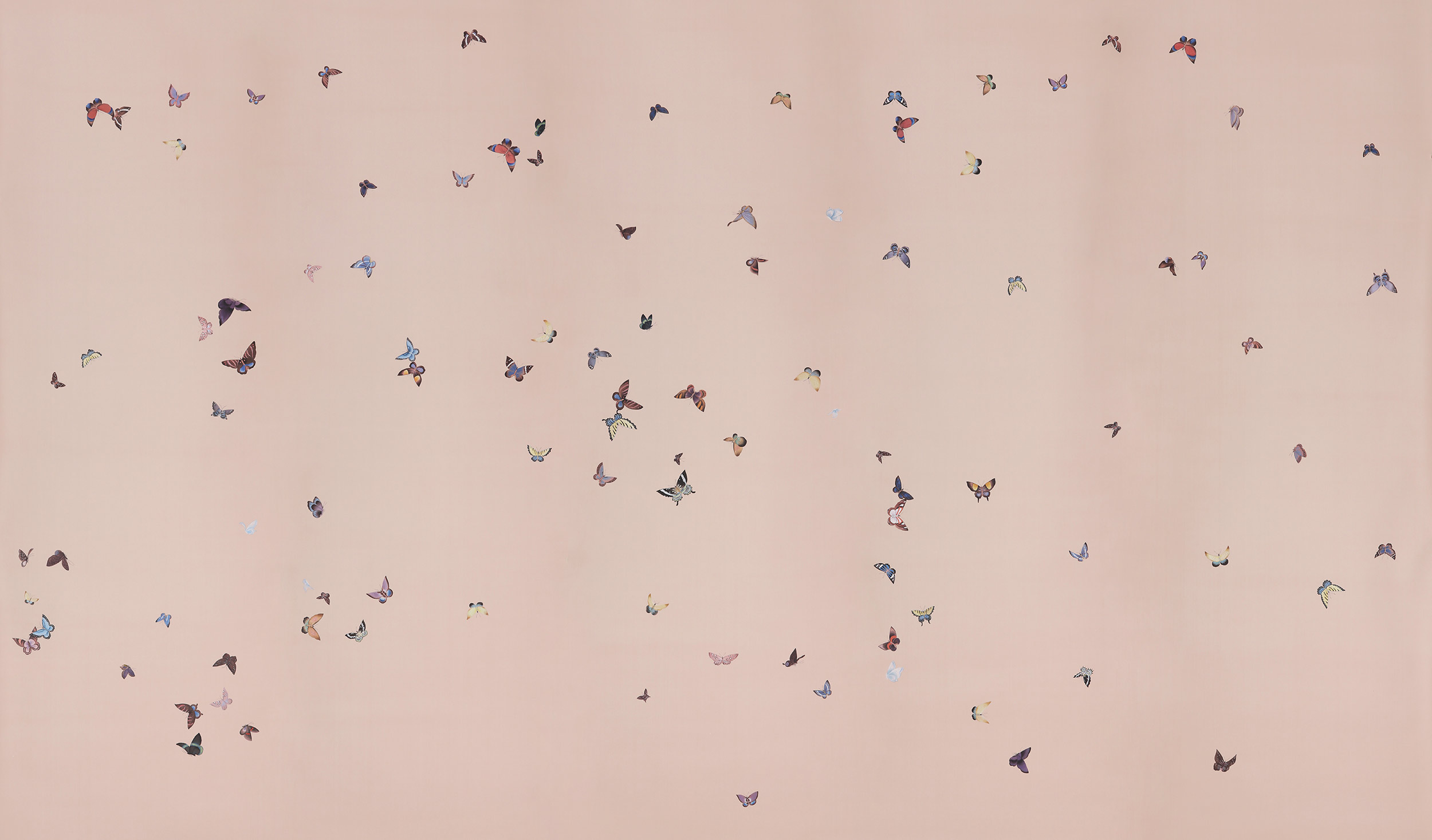 Обои ручная роспись Butterflies Icarus on Gentleman's Pink dyed silk Обои ручная роспись Butterflies Icarus on Gentleman's Pink dyed silk - постер Loft-Concept в Тюмени