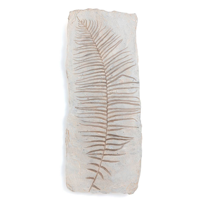 Аксессуар на стену Tropical Leaf Бежево-серый Аксессуар на стену Tropical Leaf Бежево-серый в Тюмени | Loft Concept