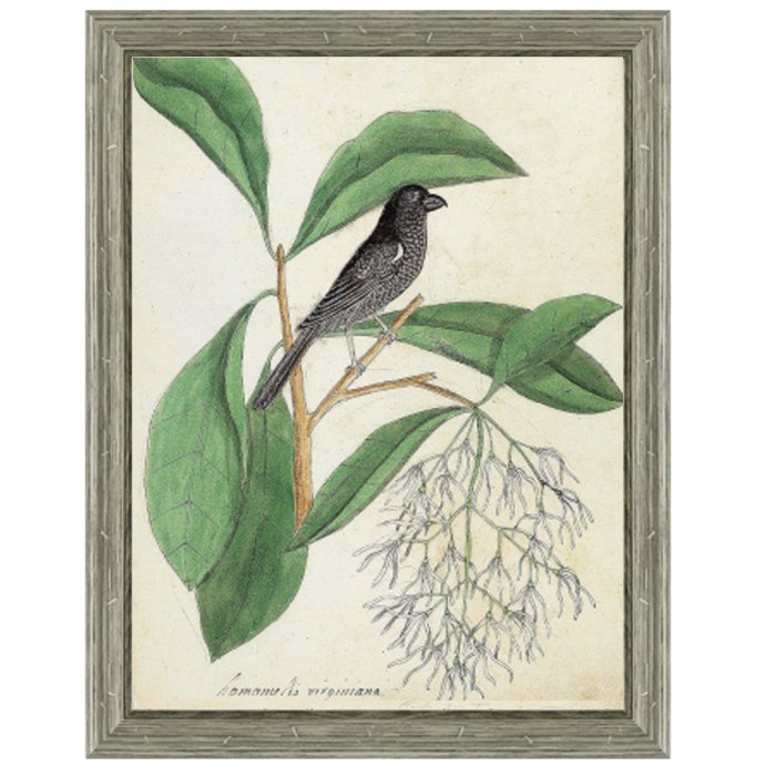 Постер Black Bird & White Flowers Постер Black Bird & White Flowers в Тюмени | Loft Concept
