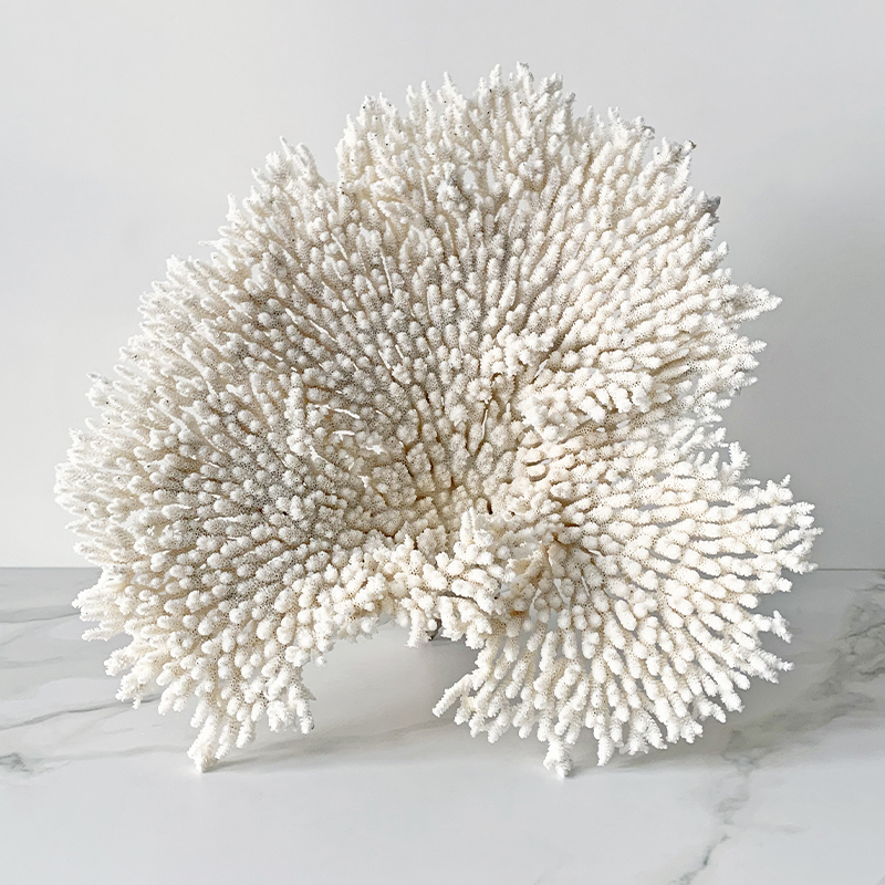 Статуэтка Table Coral Статуэтка Table Coral в Тюмени | Loft Concept