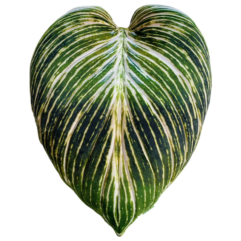 Декоративная подушка Botanical Cushion Philodendron Birkin Зеленый Салатовый Белый Декоративная подушка Botanical Cushion Philodendron Birkin Зеленый Салатовый Белый в Тюмени | Loft Concept