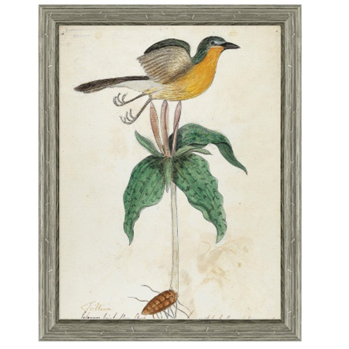 Постер Bird On Flower Постер Bird On Flower в Тюмени | Loft Concept