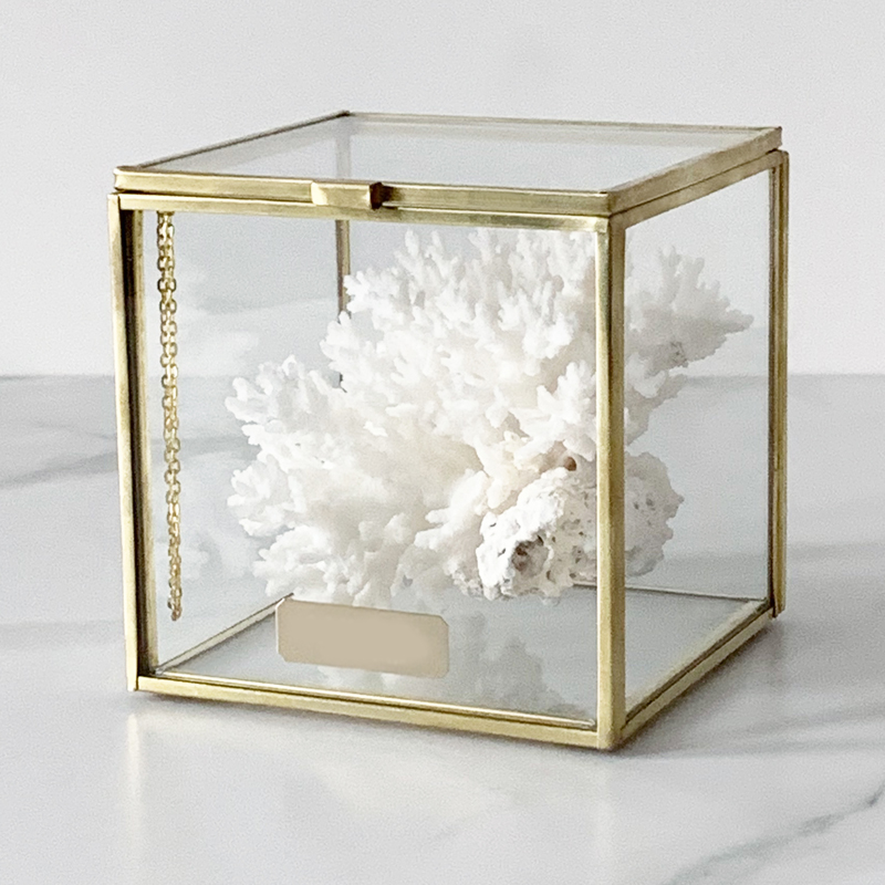 Статуэтка Natural Coral Glass Box S  в Тюмени | Loft Concept 