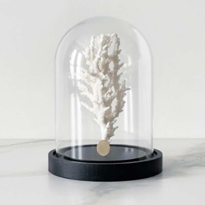 Статуэтка White Coral Glass Cloche Статуэтка White Coral Glass Cloche в Тюмени | Loft Concept