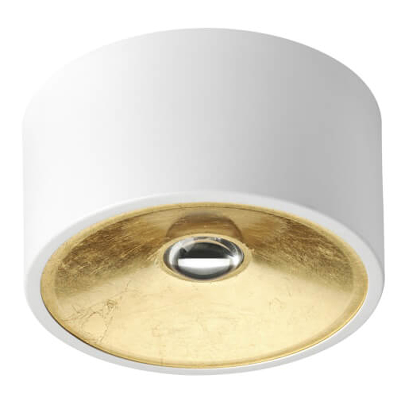 Спот Gold Diffuse Белый 20 Белый Золотой Спот Gold Diffuse Белый 20 Белый Золотой в Тюмени | Loft Concept